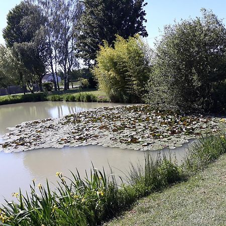 Comme A La Maison Pres Des Chateaux De La Loire Feings  Dış mekan fotoğraf